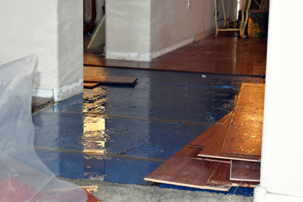 Professional Basement Water Removal technician working in Castle Rock, WA